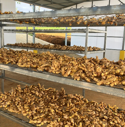 Controlled Drying